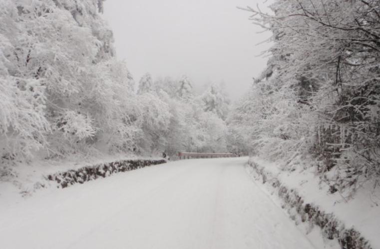 重庆独臂少年,独臂男孩重庆