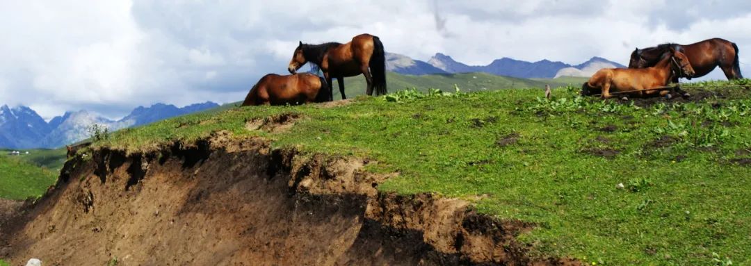 疆旅之旅,新疆新旅程旅行