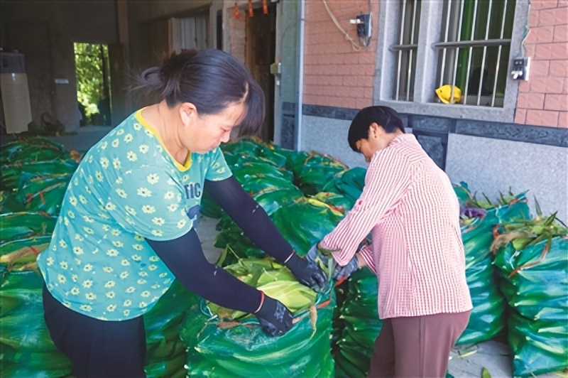 钃濈敯涔℃潙鎸叴绉嶆椤圭洰鍚嶅崟,鎾傝崚鍦扮浼樿川绋诲甫鍔ㄨ传鍥版埛澧炴敹
