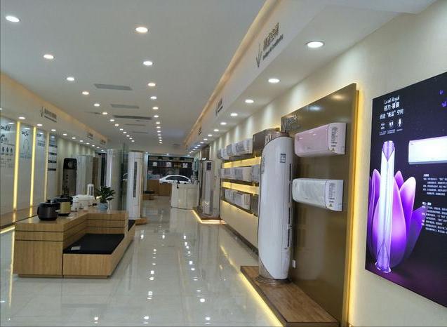 格力盈余管理案例,行业竞争对商业模式的影响