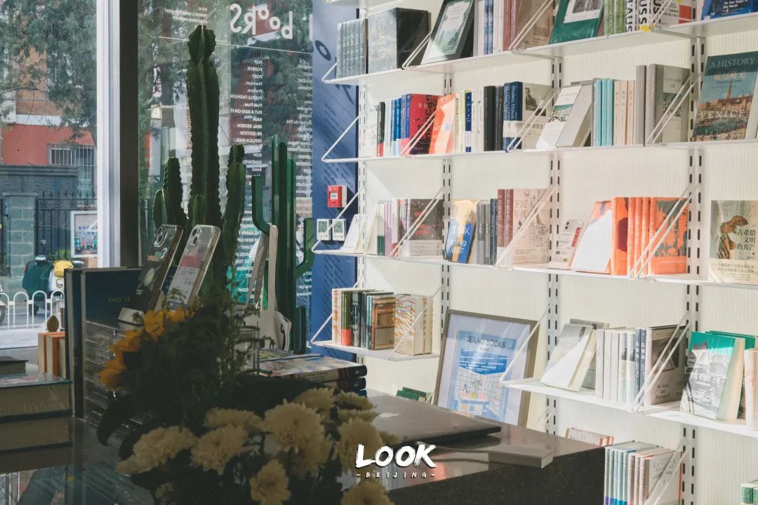 北京哪里有宠物店铺,宠物友好商城北京