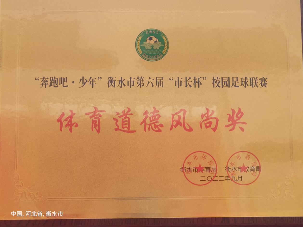 中国最厉害的女子足球队,荣获小学女子足球第二名好成绩