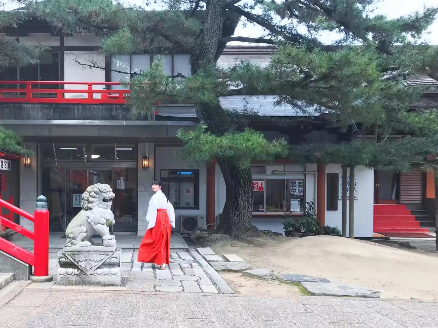 我们的留学生活在日本的日子首播,我们的留学生活在日本03