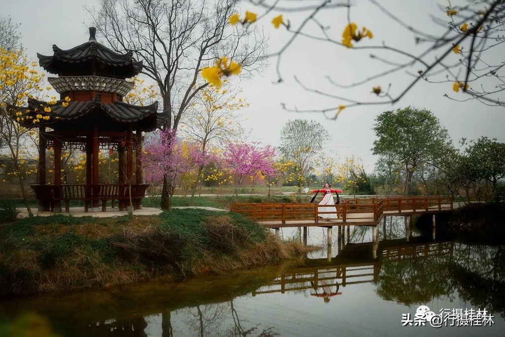 花仙子风铃,风铃花仙子
