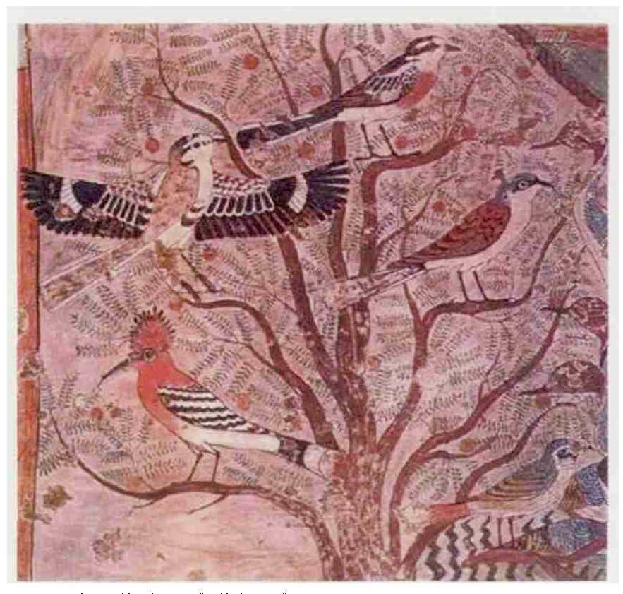 带你看懂古埃及绘画,古埃及绘画的特点是什么