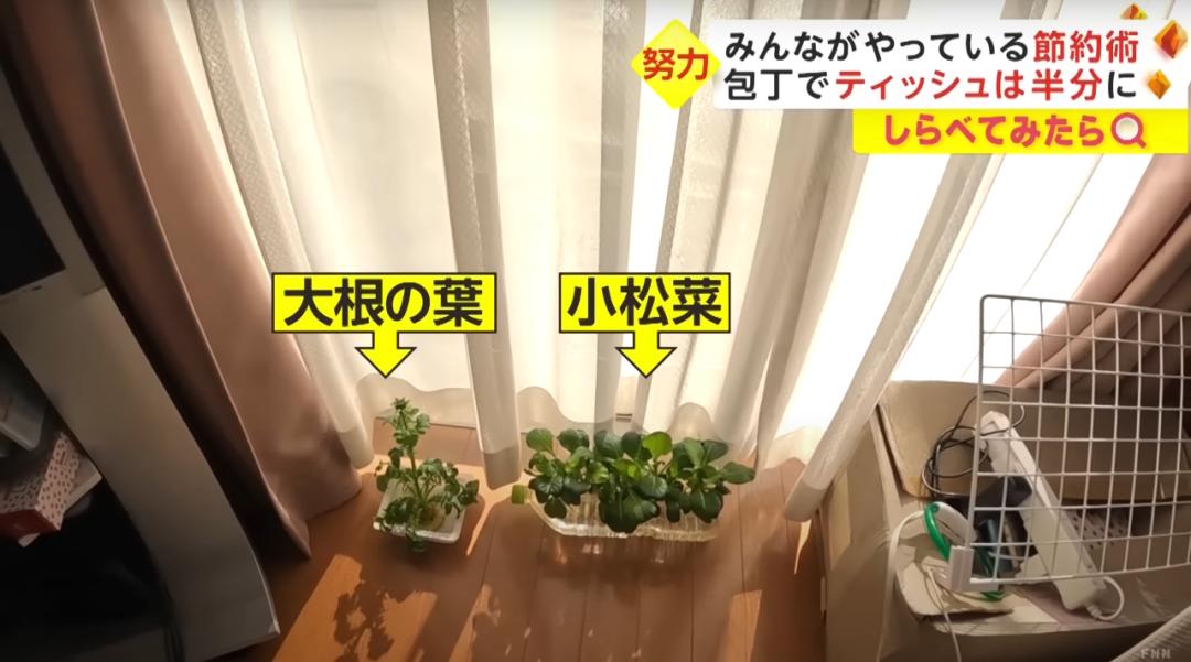 日本人穷成这样？早饭只吃蛋*粉白**、纸巾切一半用，为省电散步取暖