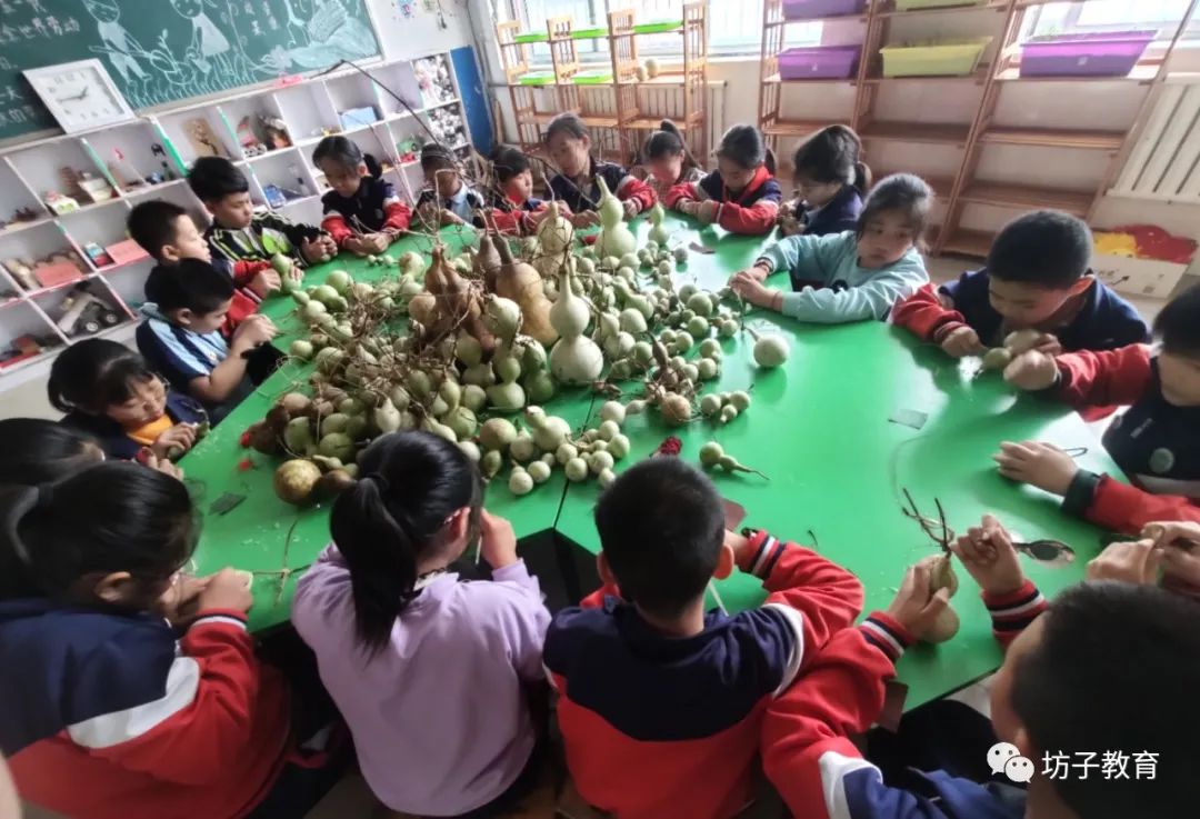 发现美好遇见幸福|坊子区：解锁幸福密码赋能学生成长（二）