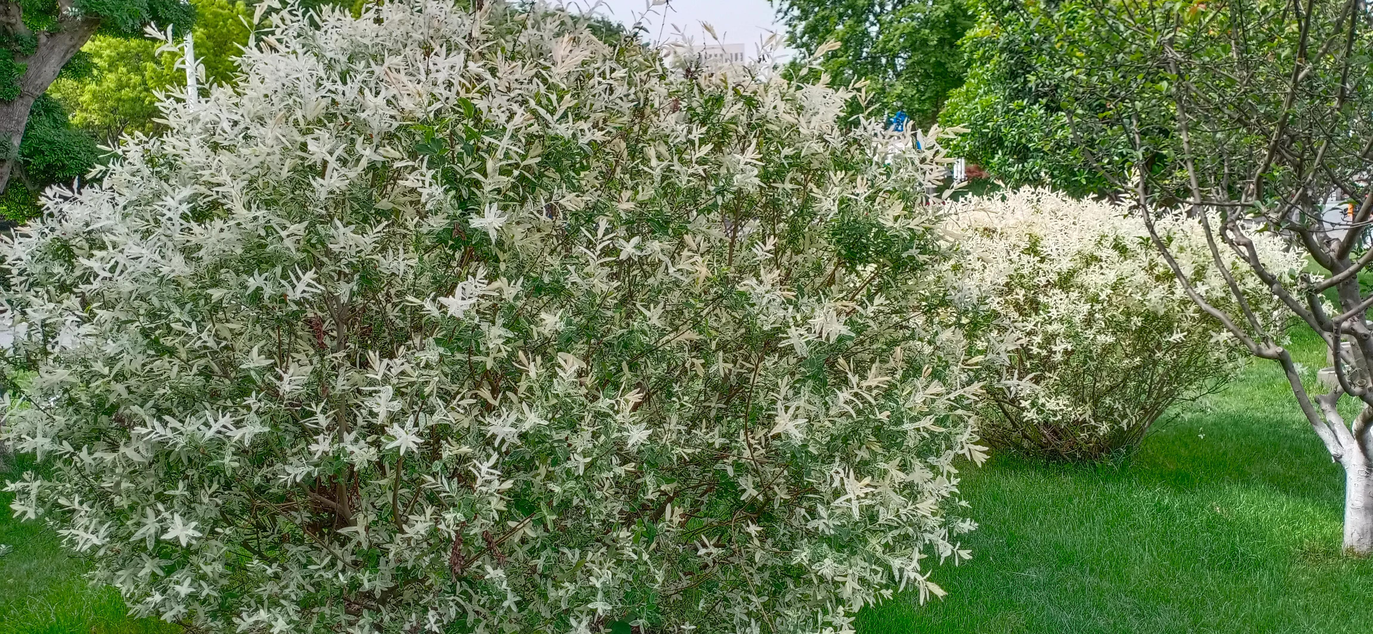 谈了小男友后悔了怎么办,我的小男友完整版视频