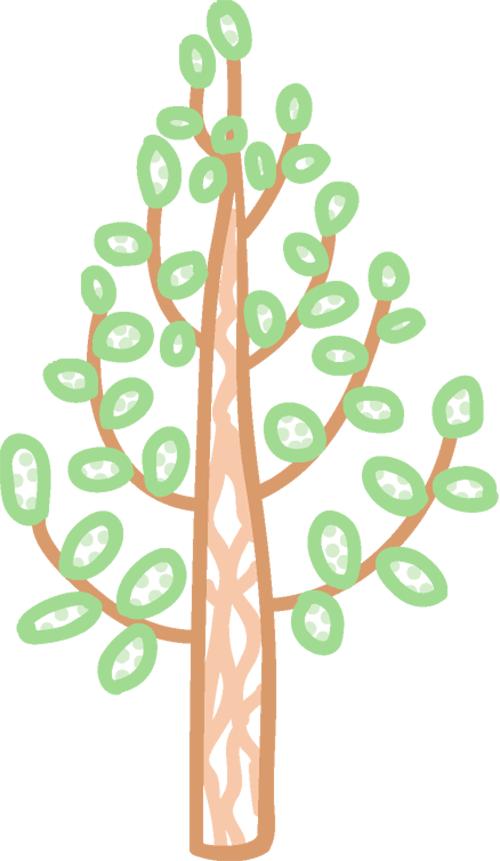 与春天撞个满怀的意思是什么,在棠梨湖公园邂逅春天