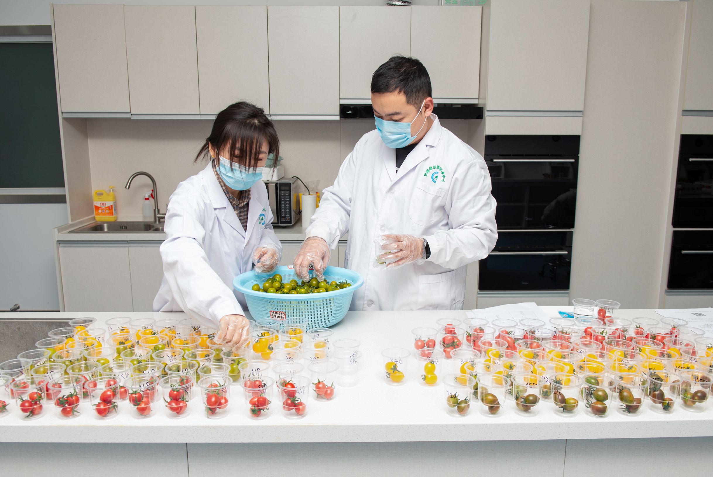 蹲点深一度｜标准化改变蔬菜