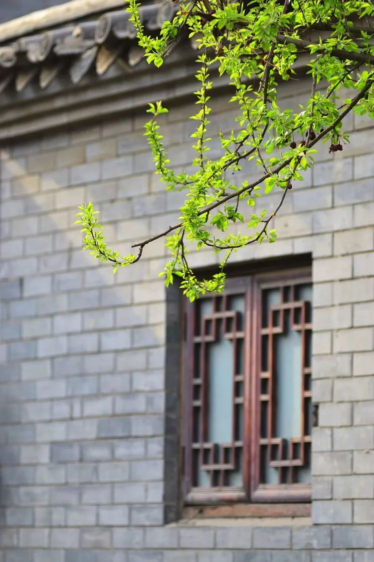 滦州古城都有哪些特色美景,滦州古城江南