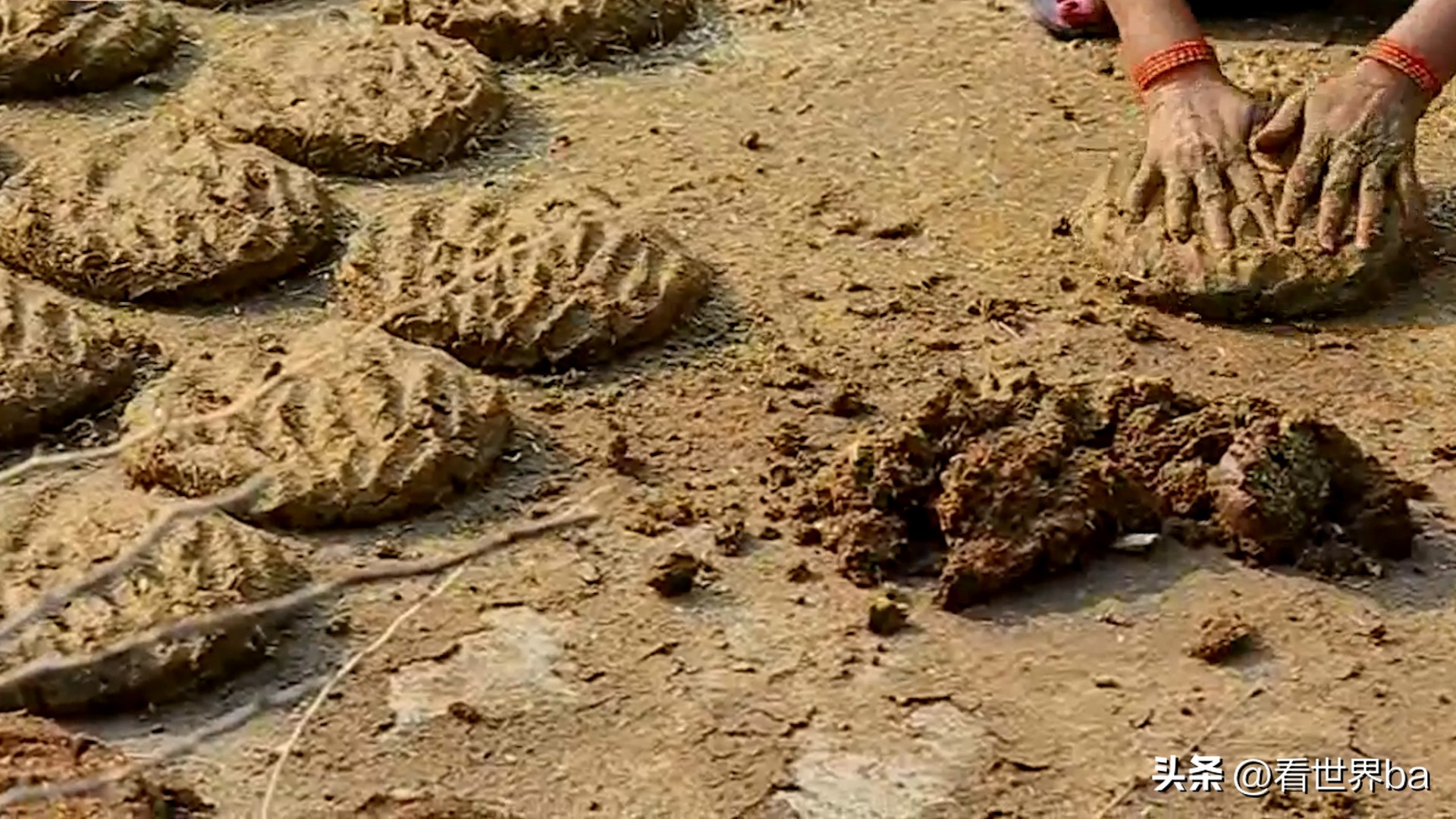 印度牛粪饼多少钱一只,印度牛粪饼一盒205元经常卖到脱销