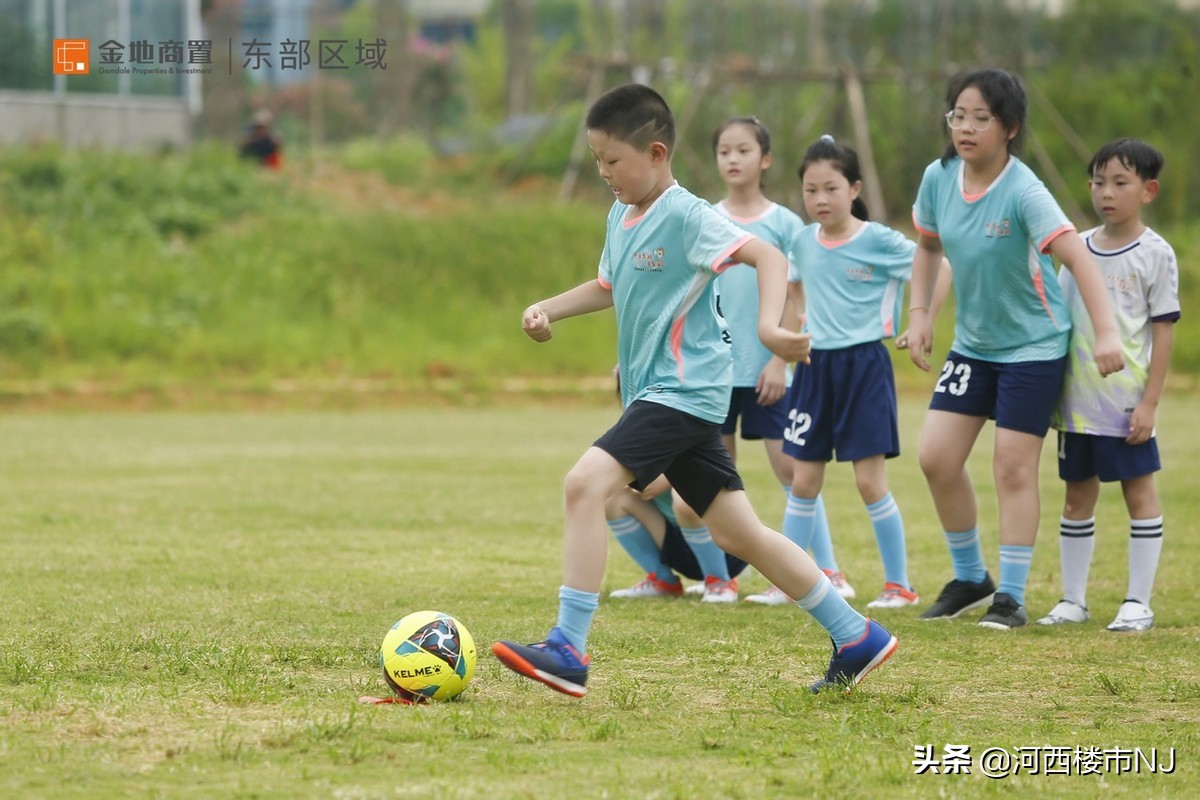 金地商置2018年,金地夏令营