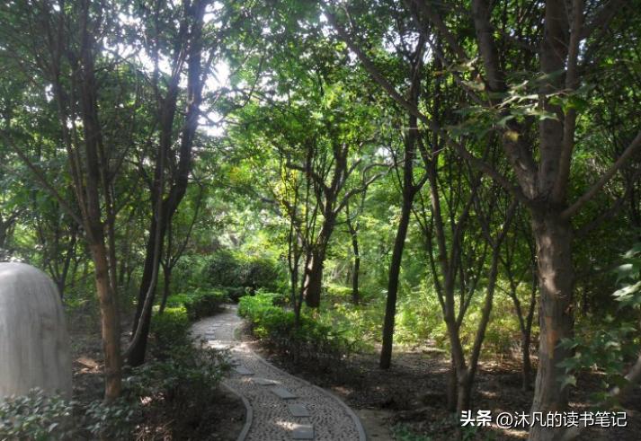 秋天郑州挖野菜的好去处,郑州挖野菜的好去处