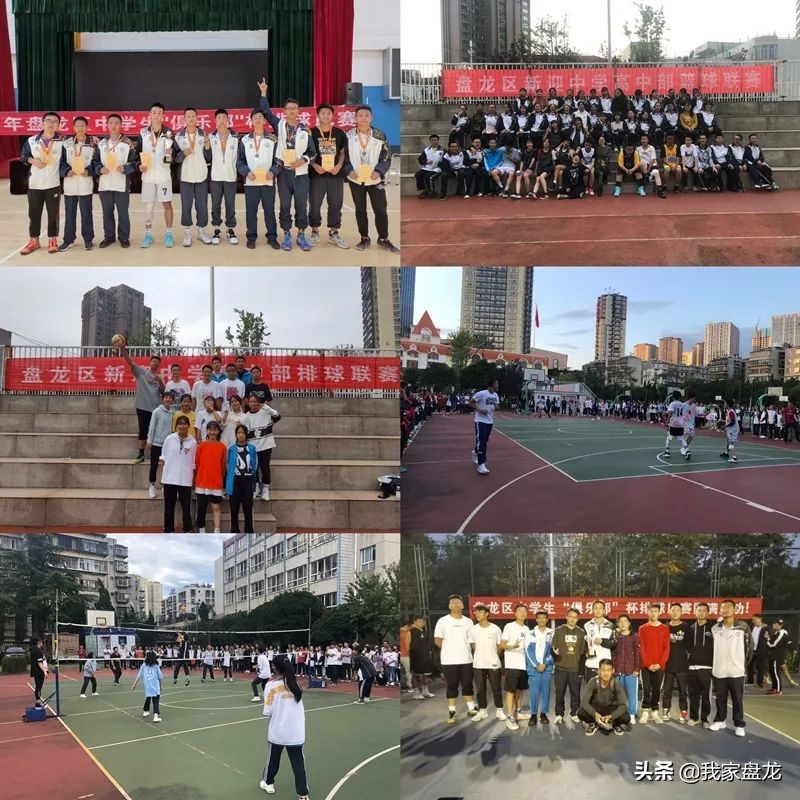 爱打篮球能考什么学校,爱打篮球吗