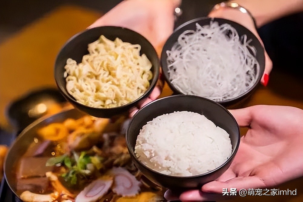 喂养比熊犬需要注意什么,喂养比熊吃东西怎么样避免咬到手