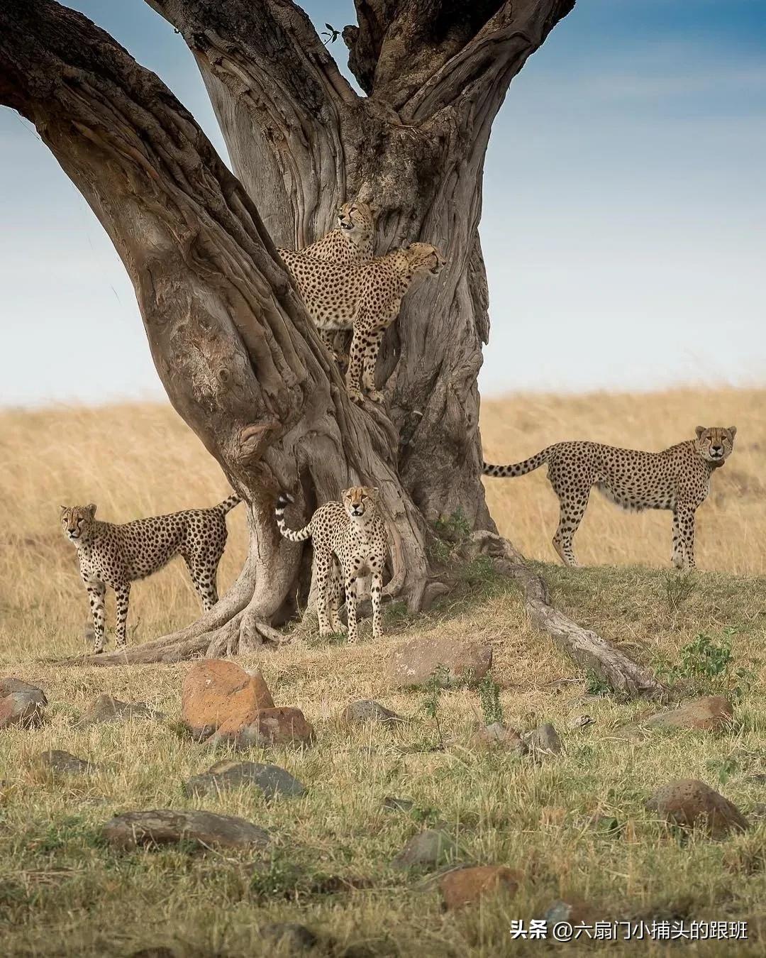 懂懂日记公众号,懂懂日记全集解说