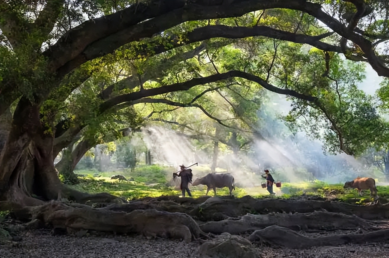 脑梗发病怎么吃牛黄丸,中风救命丸