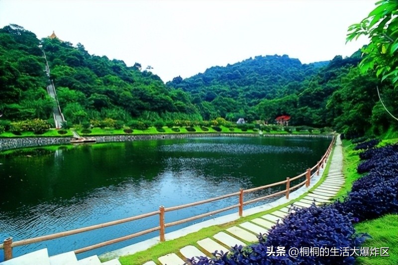 露营地互动项目,广州户外露营地推荐