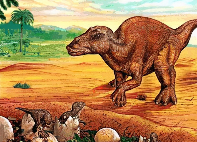 盘点十种能秒杀霸王龙的恐龙,十大比霸王龙厉害的恐龙