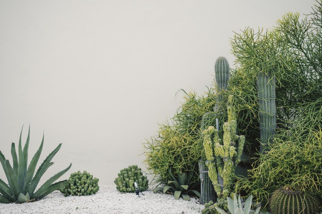 三亚沙滩和碧海蓝天,三亚有清澈的海水和美丽的沙滩