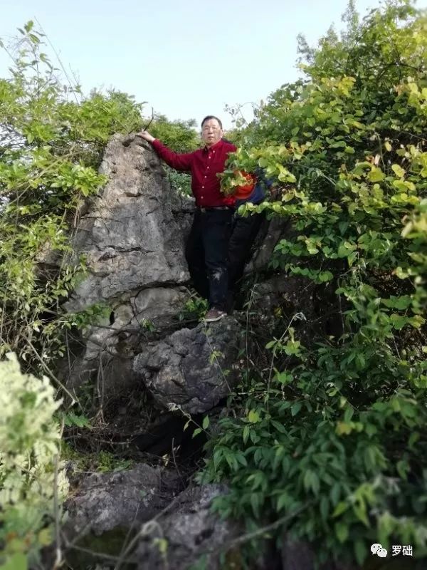 鐭虫湪灞卞,鐭虫湪瀵ㄥソ椋庡厜