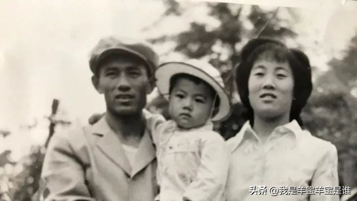 越过千山万水只为遇见你美文,跨过千山万水只为与你相遇的美文