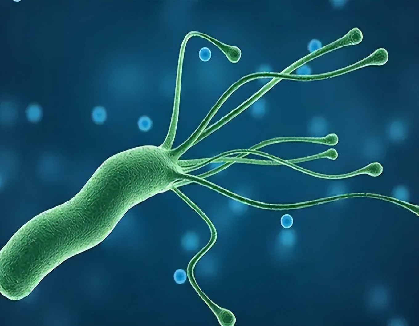 炉甘石万能药,万能止痒软膏配方