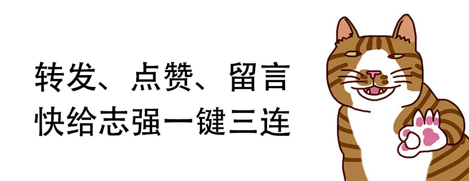 猫咪怎样驱跳蚤和蜱虫 (小猫身上有跳蚤了做外驱有用吗)