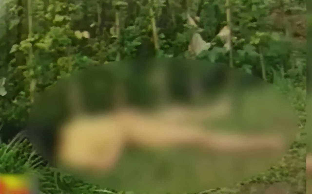 变态*杀凶**案！少女惨遭变态*魔色**砍成人彘，下身被塞满韭菜死去！