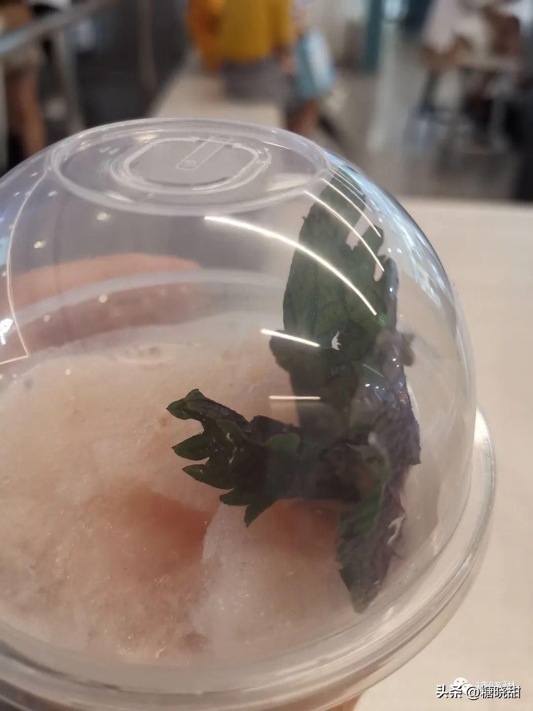 喝了十个品牌，三十款奶茶，终于找到了夏天的“解药”