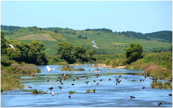 相见恨晚这首歌完整版,原汁原味古色古香的一座小城