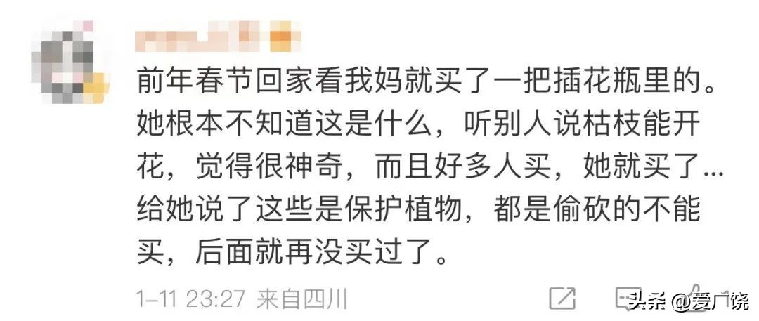 不要买！不要买！不要买！有毒