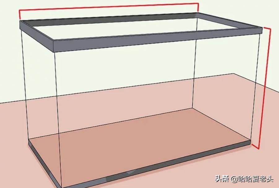 怎样拯救要死的斗鱼,怎么抢救奄奄一息的斗鱼