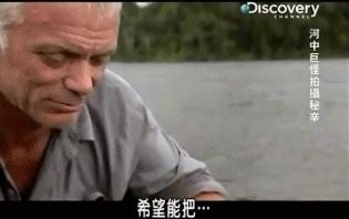 小到钻丁丁，大到吞活人，这片贝爷看了都怕