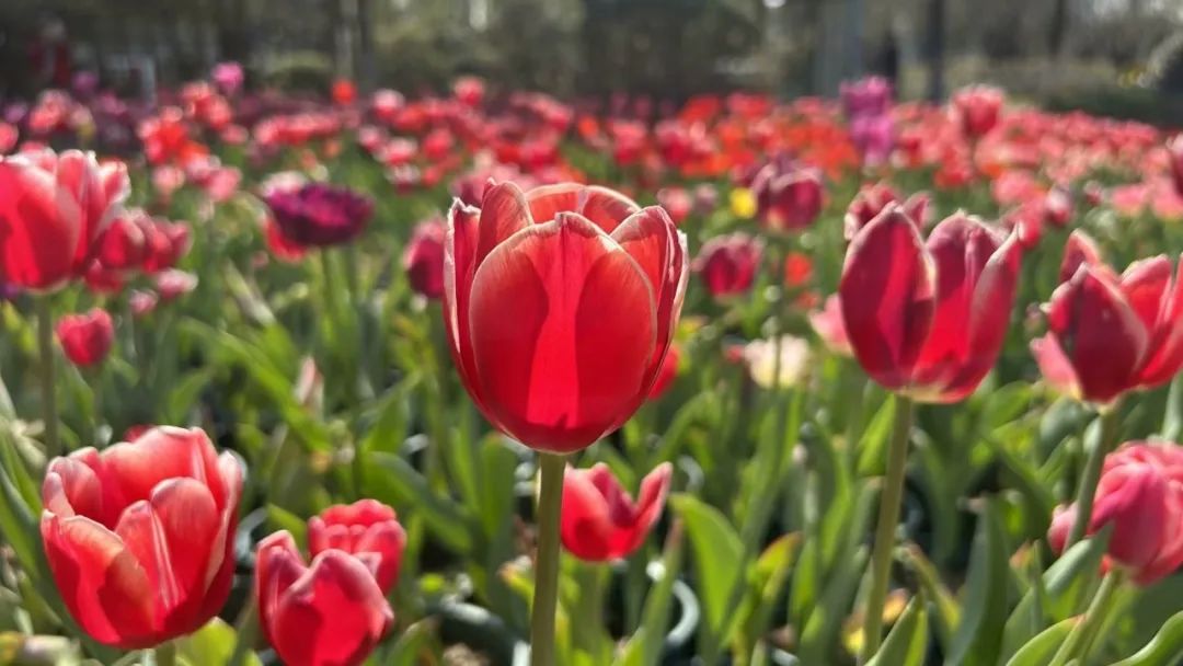 情商高和智商高的人有什么表现,情商高就意味着智商高