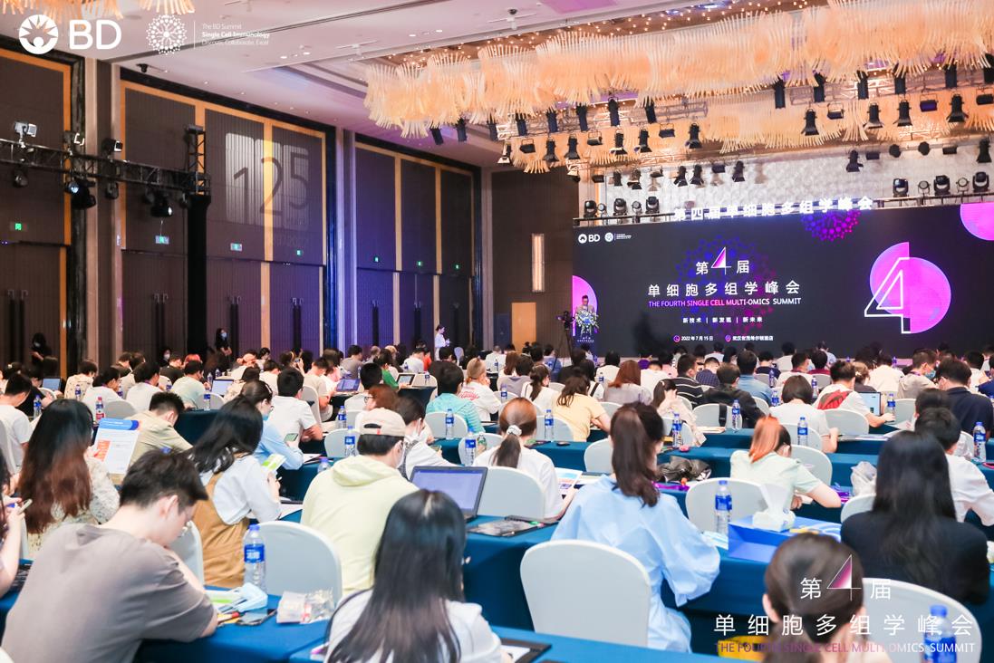 碧迪医疗的发展历程,碧迪医疗最终消息