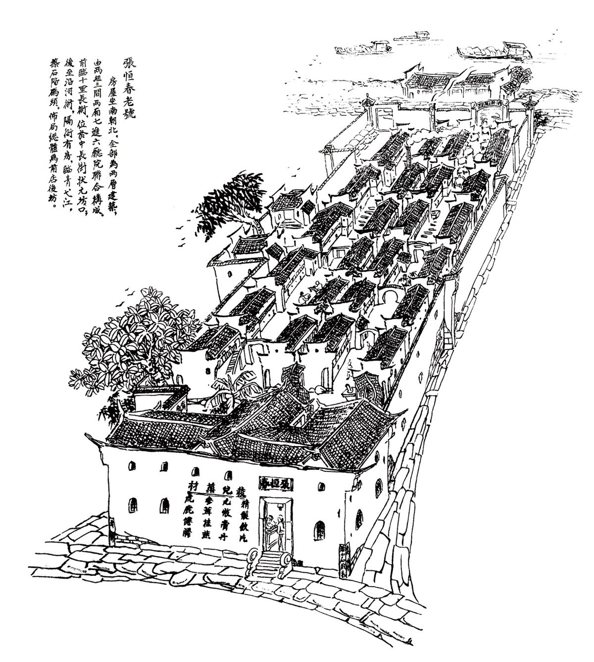 国药张恒春简介,张恒春大药房总店在哪