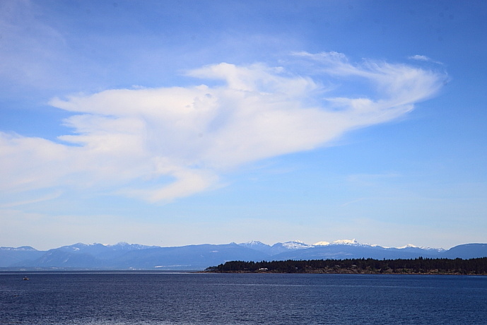 加拿大温哥华岛游记,温哥华维多利亚岛攻略