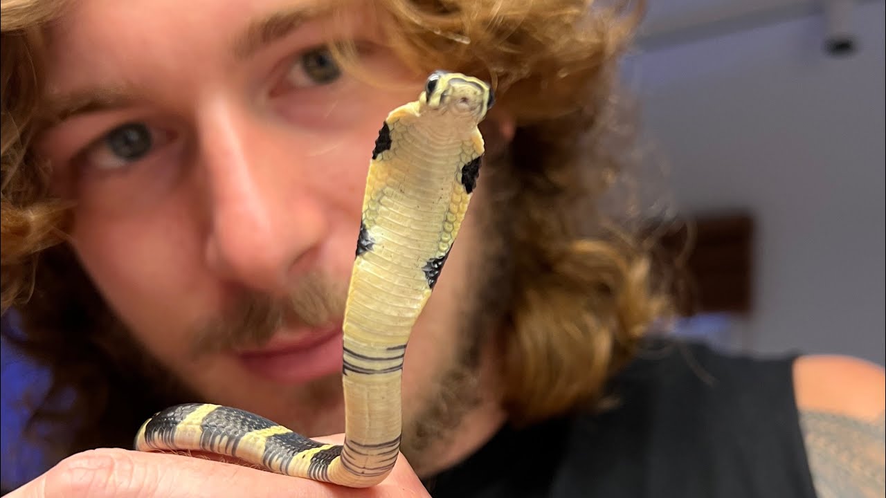 历史上最残忍的10种酷刑,史上最可怕的十大酷刑