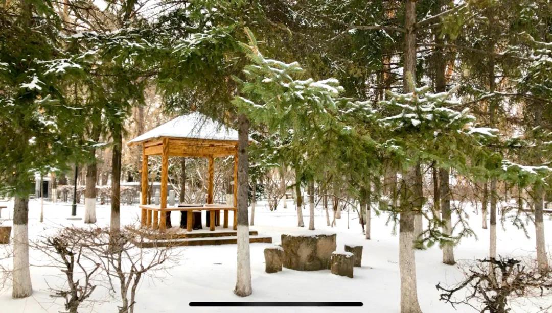 在黑河生活好吗,黑河生活真实感受