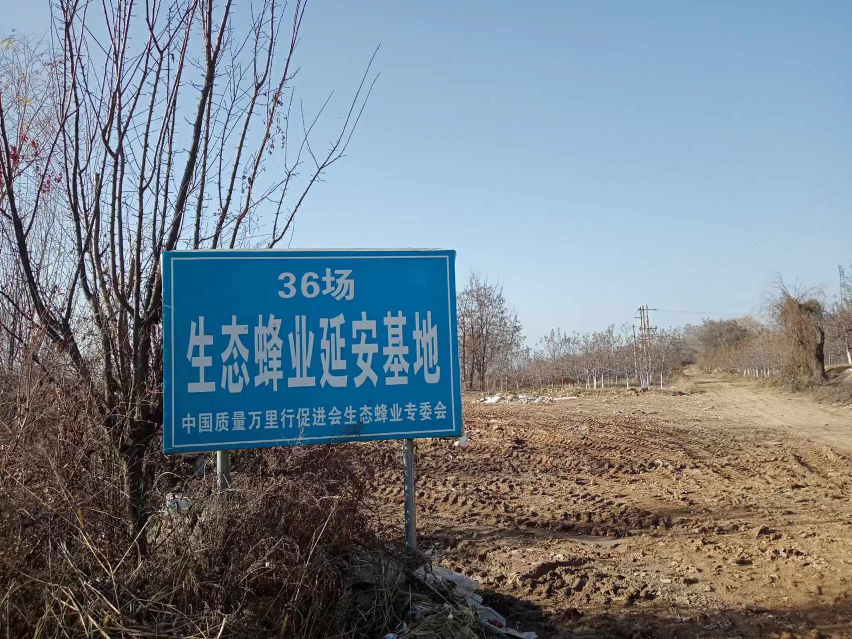 古树、土塔、苍柏、沟壑……