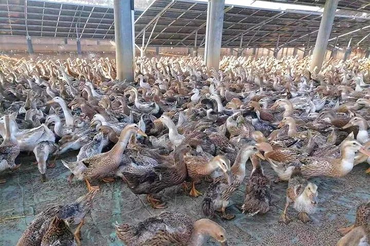 羽绒服地震灾区,羽绒服驰援甘肃