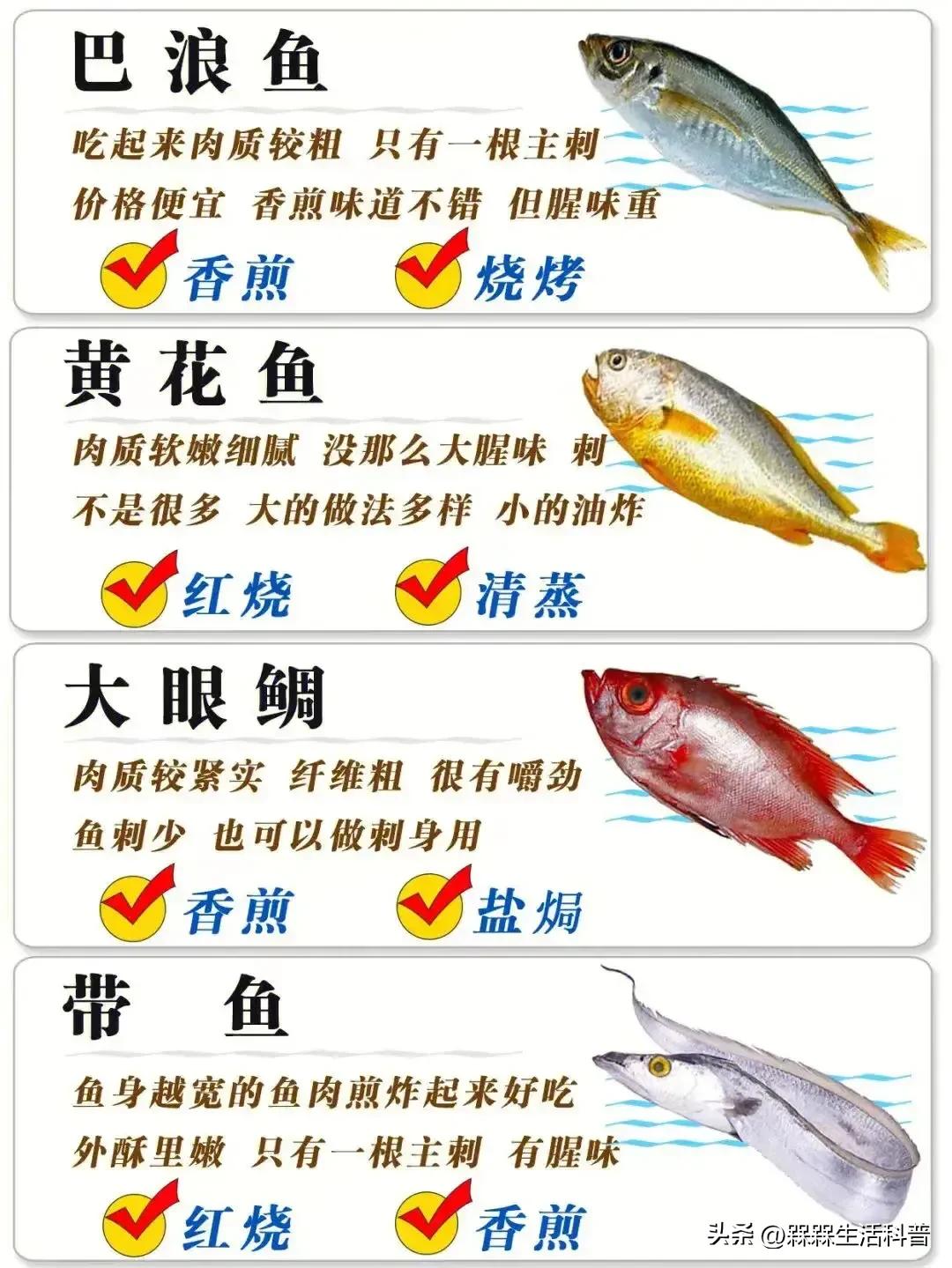 各种鱼图解大全,100种常见家常鱼的图片