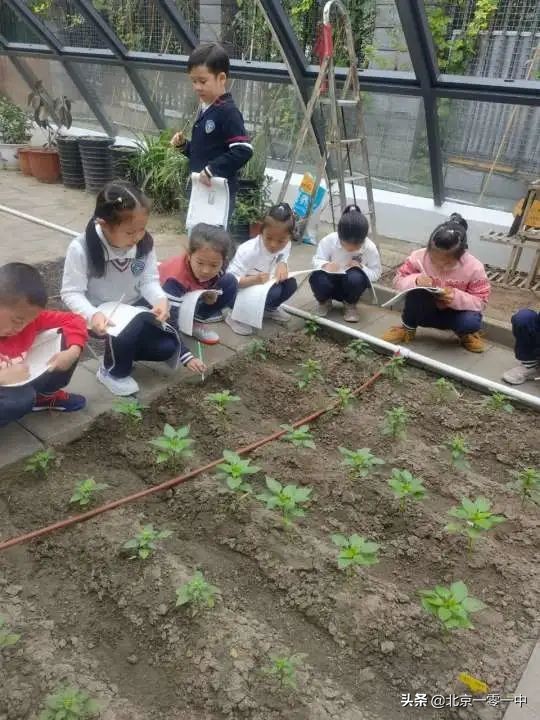 北京市上地实验学校片区,北京市上地实验学校2021