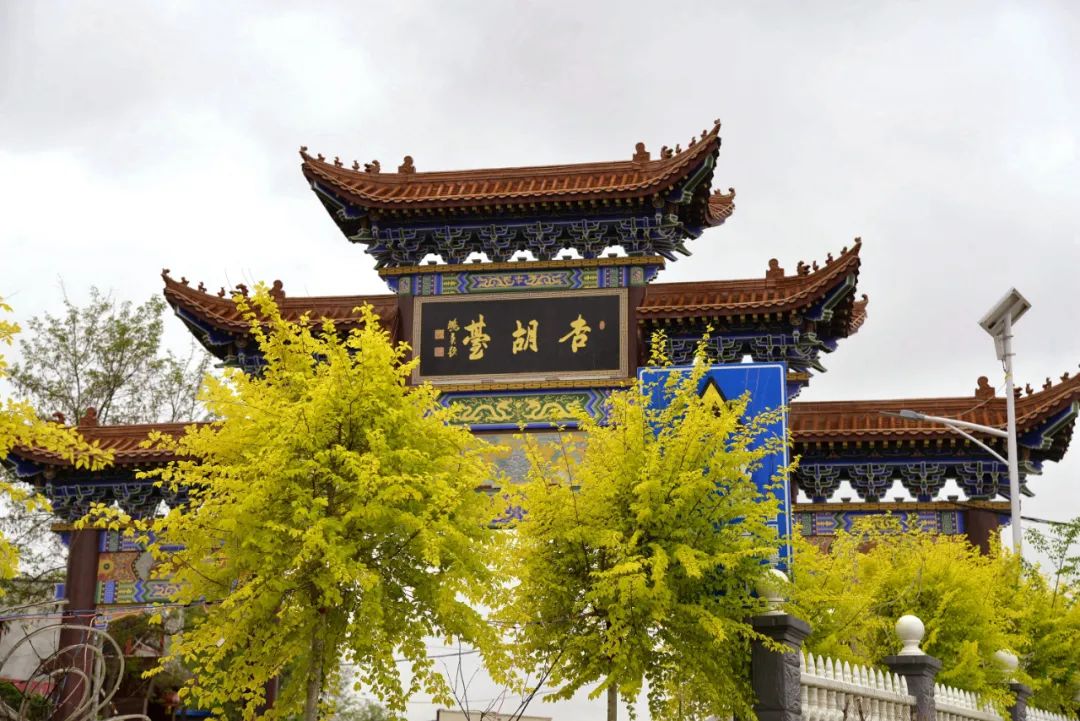 金城著名地方,金城历史由来