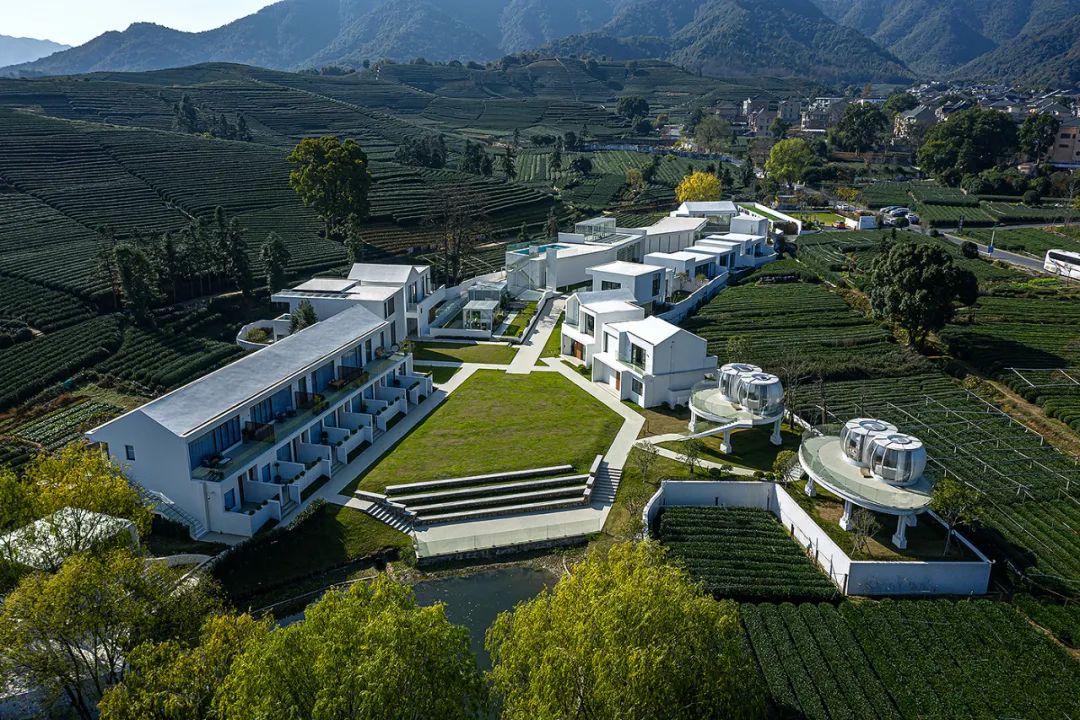 设计型民宿酒店,全球酒店民宿设计排名前十