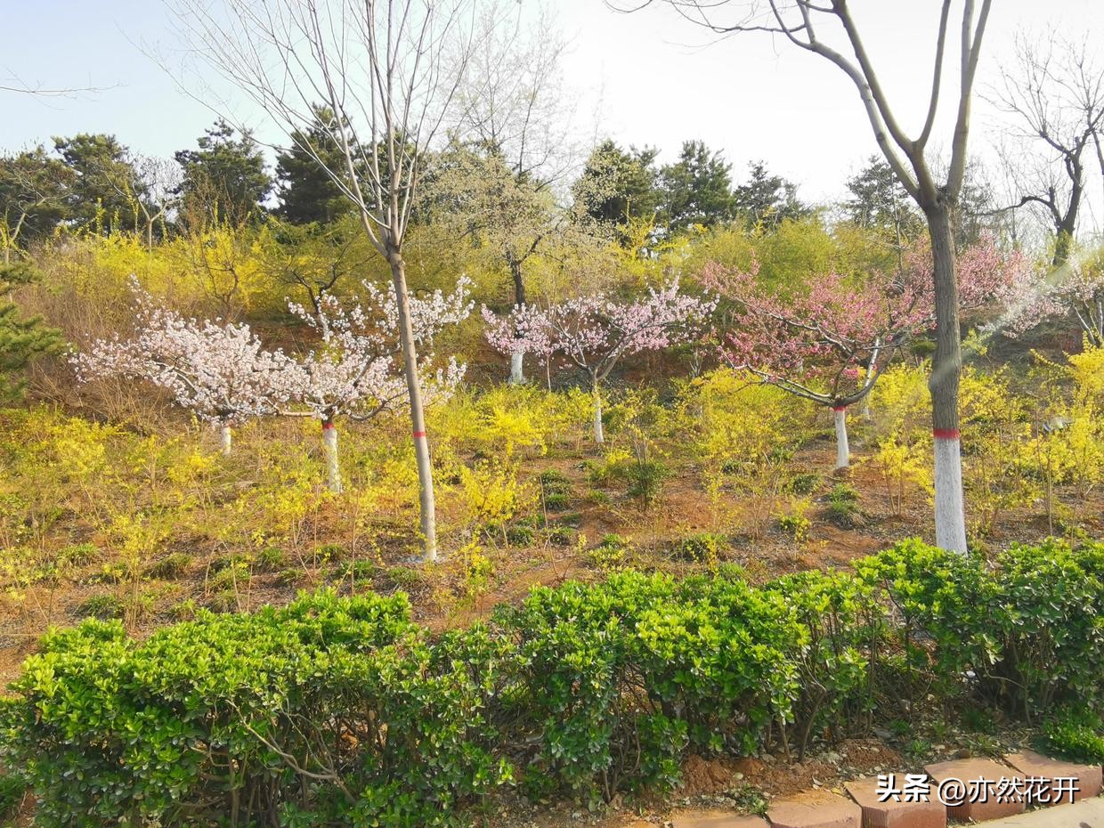 如何提高故事写作能力,学习写作技巧的感悟