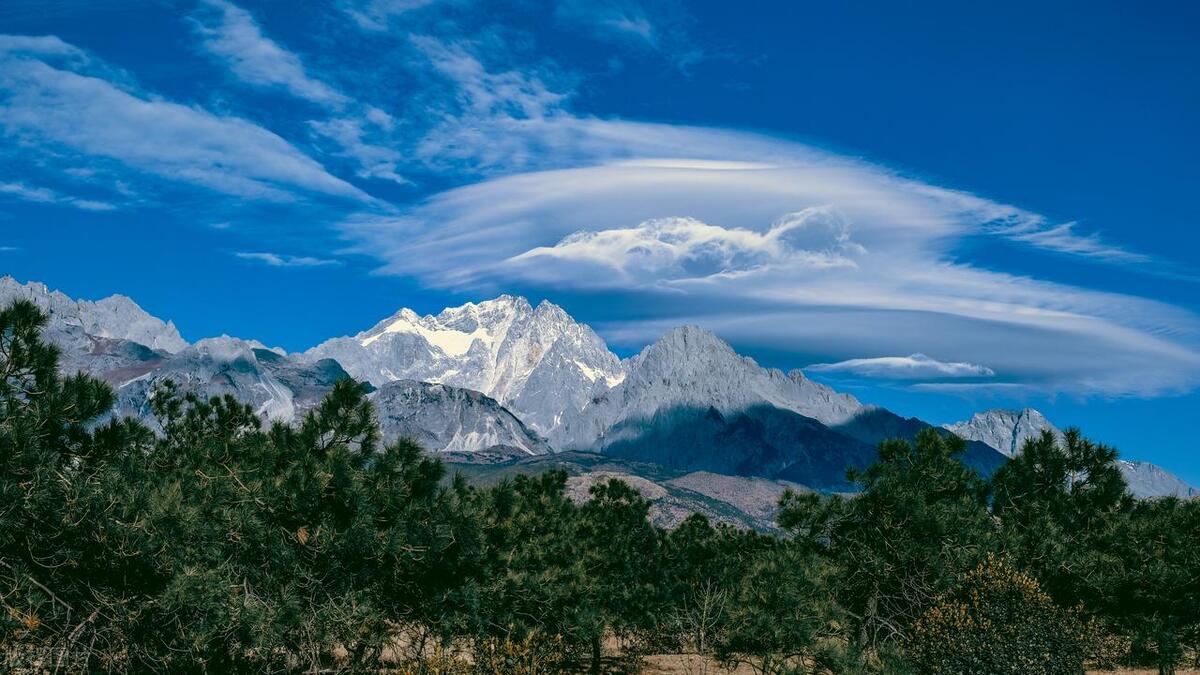 西南明珠草原,西南明珠奏响甜蜜致富曲