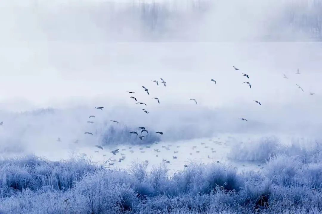 武威曾经全国第三大城市,甘肃曾经的第三大城市